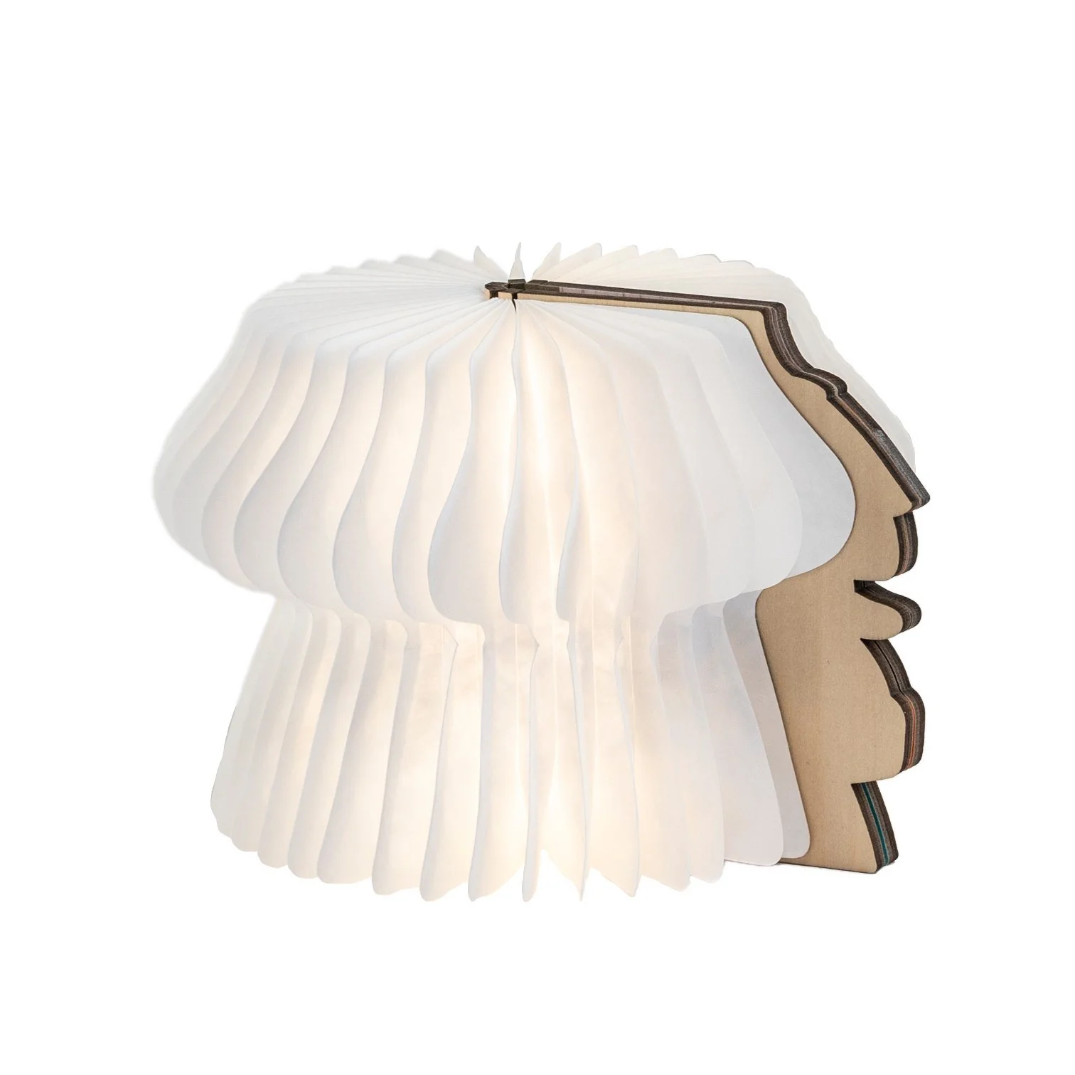Mini Lampada Libro Portatile Herolight - Daenerys - Image 2